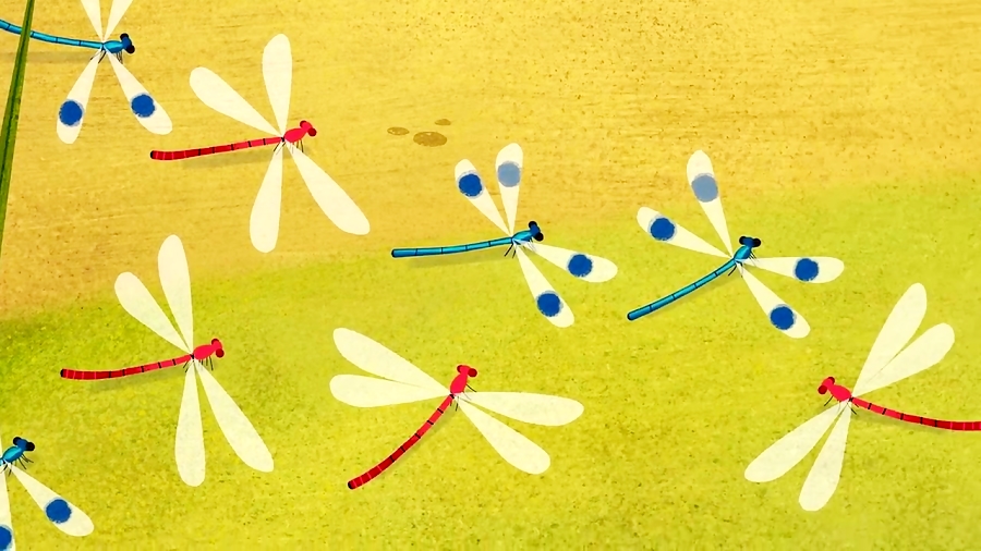 انیمیشن صخره پافین ها Puffin Rock - فصل 2 قسمت 6 ( 16 تا 18 )